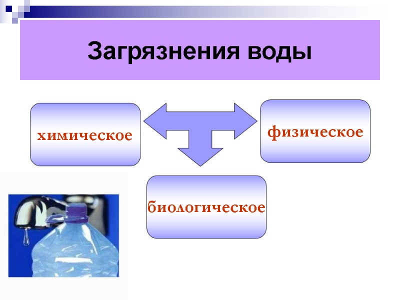 Загрязнения воды химическое биологическое физическое